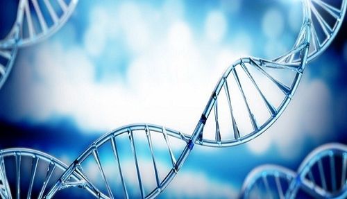 人体干细胞技术开发 从基础研究到临床应用的前沿探索