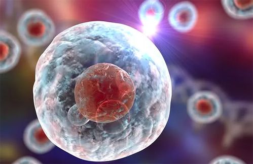 生物细胞与干细胞治疗 让亚健康状态重回年轻活力